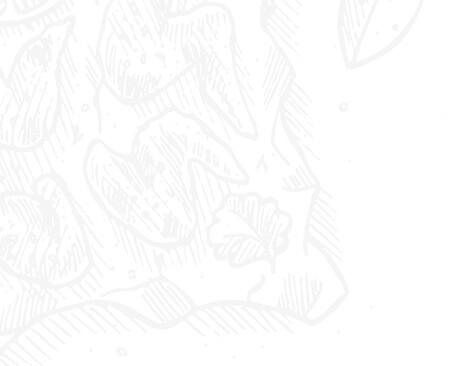 background-top-left-1 Author left drawn food background image